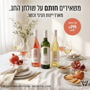 חבילה לחגים
